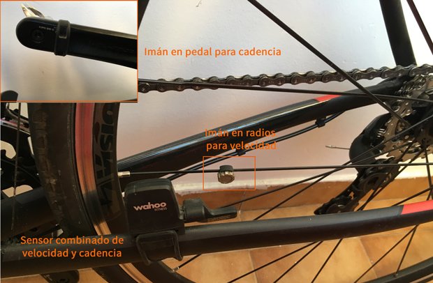 Sensores de velocidad y cadencia para ciclismo: ¿Garmin o Wahoo?