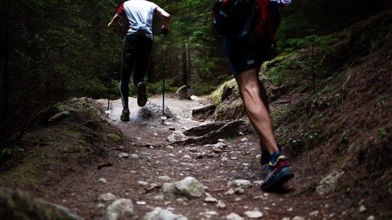 Zapatillas Trail Running - Hombre - Calzado de Montaña
