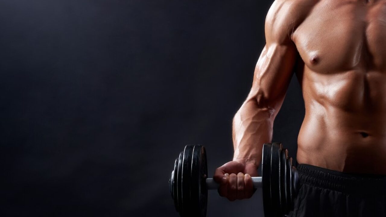 Daño muscular tras el ejercicio. ¿Cómo se regenera el músculo?